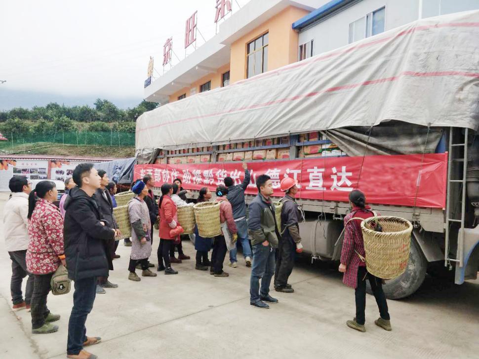 1.中冶貴州公司從貴州省德江縣潮砥鎮(zhèn)購買臍橙